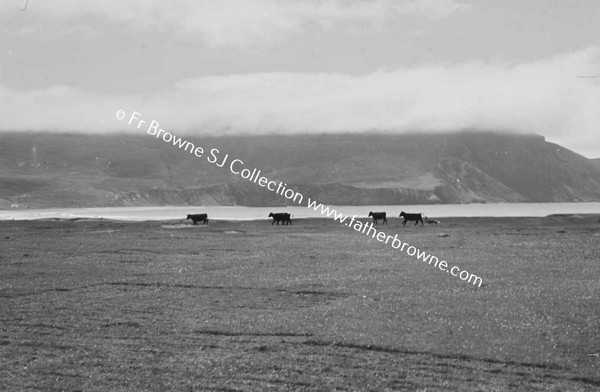 KEEL STRAND FROM RICHVIEW HOTEL WITH MAN AND DOG